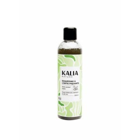 Shampoing à l'Ortie Piquante PRO - Kalia Nature - 1L