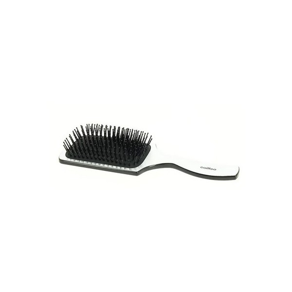 Brosse paddle pneumatique