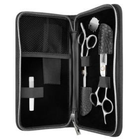 Duo de ciseaux coupe et sculpteur TADASHI