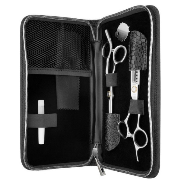 Duo de ciseaux coupe et sculpteur TADASHI