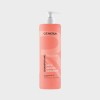 2 + 1 Shampooing Secs Abimés Cassant 1L