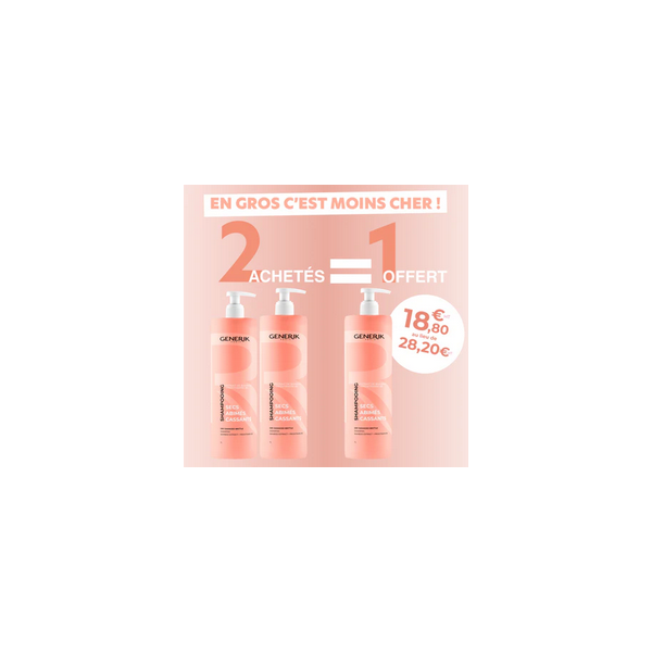 2 + 1 Shampooing Secs Abimés Cassant 1L