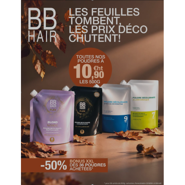 PROMO POUDRE DECO