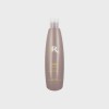 Shampooing purifiant - régulateur de sébum - 300 ml