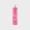 Shampooing Colorés Méchés 300ml
